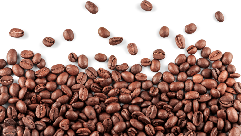 Kemilaunya Kopi Mandailing: Peluang Emas Ekspor dari Medan ke Pasar Eropa