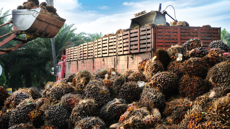 Zona Emas Ekspor Indonesia: Negara-Negara dengan Permintaan Tertinggi