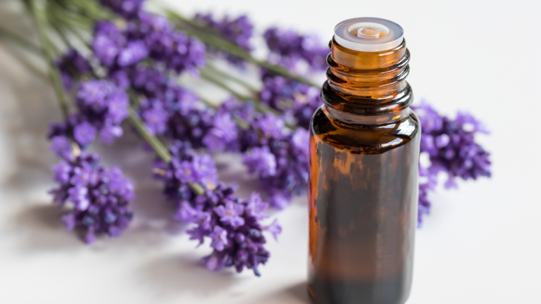 Minyak Atsiri Asal Sumut Dilirik Dunia: Medan Punya Peran Besar!