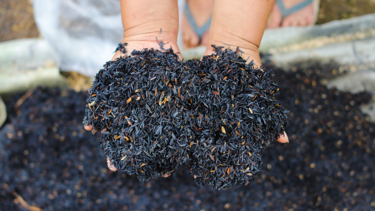 Menggali Potensi Ekspor Sekam Padi: Dari Limbah Lokal ke Pasar Global