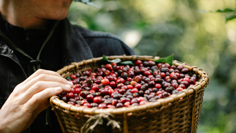 Langkah Awal Menjadi Eksportir: Tahapan Praktis Memulai Ekspor Skala Kecil