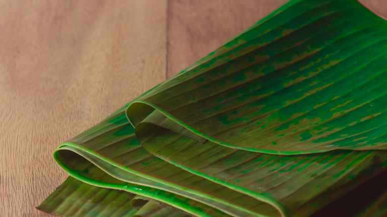 Tahapan Ekspor Daun Pisang: Panduan Lengkap bagi Pemula