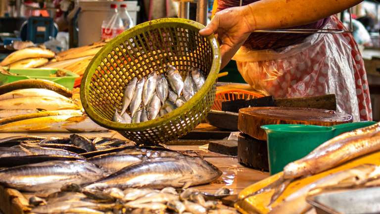 Produk Perikanan Indonesia: Potensi Tak Terbatas di Meja Makan Keluarga Tiongkok