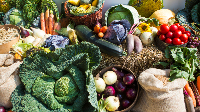 Pengemasan dan Pengiriman Hasil Bumi: Standar Ekspor dan Tips Logistik Aman