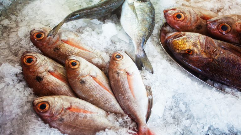 Langkah-Langkah Ekspor Sisik Ikan ke Pasar Internasional