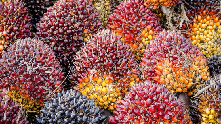 Strategi Menentukan Target Pasar Global Berdasarkan Data Trademap