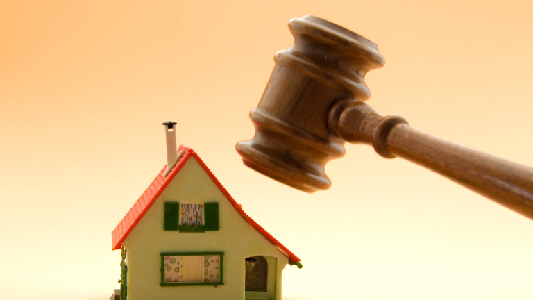 Regulasi dan Standar Kualitas Ekspor Sisik Ikan yang Wajib Diketahui