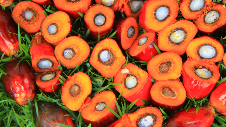 Rahasia Sukses Mengekspor: Menemukan Zona Ekspor Unggulan Lewat Trademap