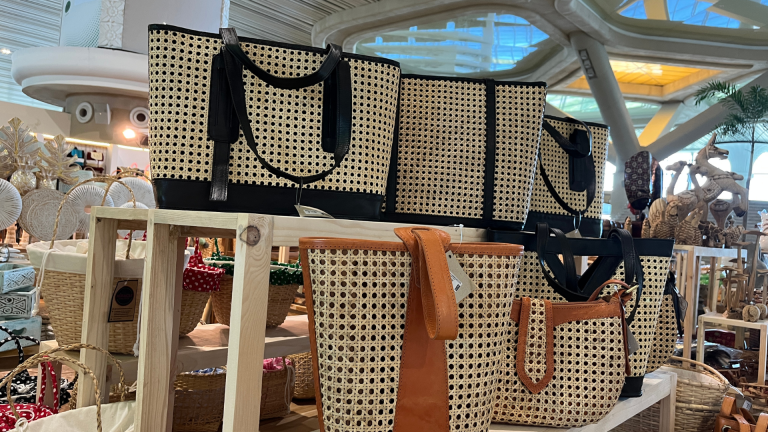 Langkah Awal UMKM: Panduan Praktis Memulai Ekspor